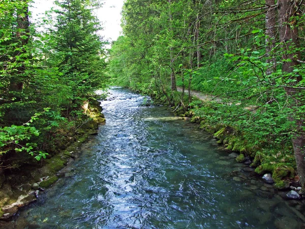 Neu Johann Köyündeki Thur Nehri Sviçre Nin Gallen Kantonu Obertoggenburg — Stok fotoğraf