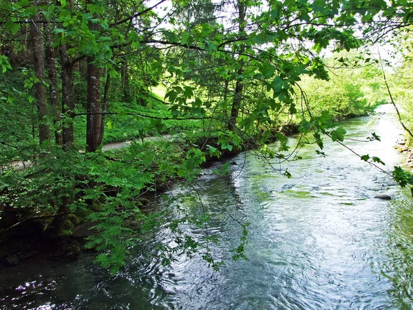 Neu Johann Köyündeki Thur Nehri Sviçre Nin Gallen Kantonu Obertoggenburg — Stok fotoğraf