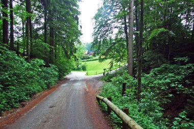 Orman parkları ve St. Gallen şehrinin panoramik manzarası İsviçre