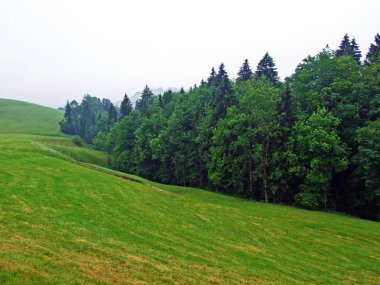Hochhamm Dağı yamaçlarında ve Urnaesch veya Urnasch nehir vadisinde yer alan Alp otlakları ve karışık ormanlar İsviçre 'nin Ausserrhoden Kantonu