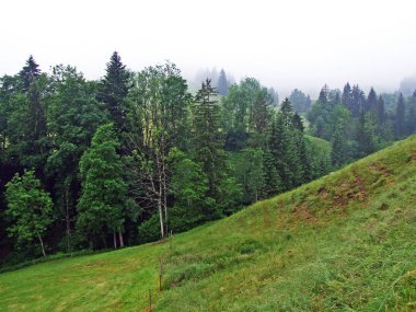 Hochhamm Dağı yamaçlarında ve Urnaesch veya Urnasch nehir vadisinde yer alan Alp otlakları ve karışık ormanlar İsviçre 'nin Ausserrhoden Kantonu