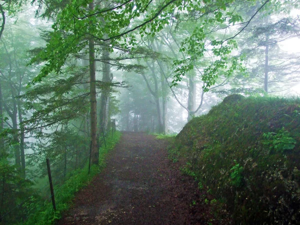 Trails Voor Wandelen Wandelen Urnaesch Urnasch Vallei Urnsch Kanton Appenzell — Stockfoto