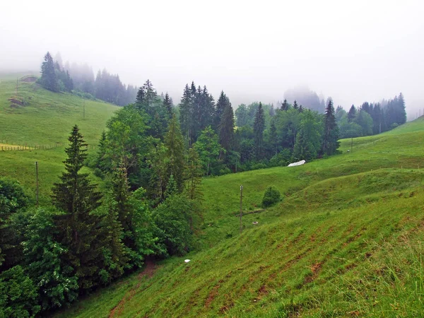 Hochhamm山斜坡和Urnaesch或Urnasch河谷的高山牧场和混交林 瑞士阿彭策尔州 — 图库照片
