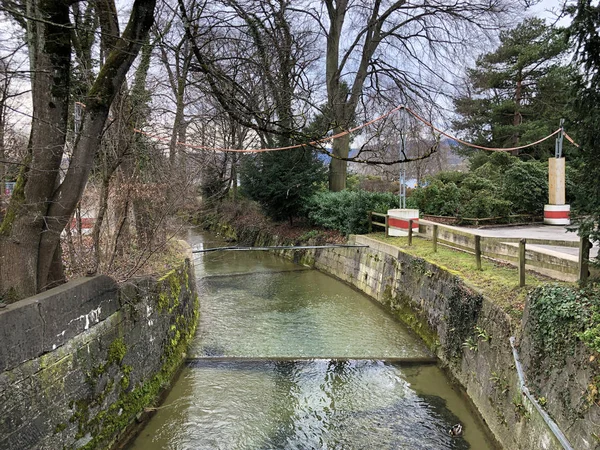 チューリッヒ湖 チューリッヒ湖またはチューリッヒ湖 の公園チューリッヒまたはチューリッヒ湖 スイス — ストック写真