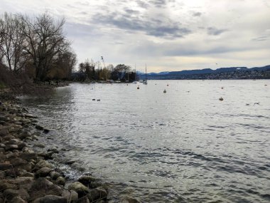 Zürih Gölü (Zurichsee veya Zuerichsee), İsviçre 'nin Zurichhorn Parkı (Zuerichhorn) ve Tiefenbrunnen Hamamı' nda yer alan bir şehirdir.