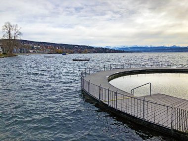 Zurichsee Kreisel ya da Zuerichsee Kreisel 'in Tiefenbrunnen halk plajında Zürih ya da Zuerich, İsviçre