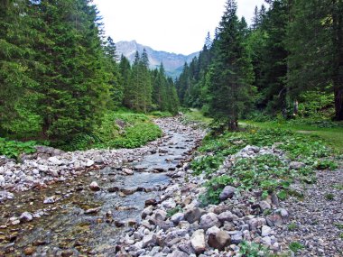 Saminatal Vadisi 'ndeki Valunerbach ya da Valuenerbach deresi ve Liechtenstein Alpleri - Steg, Lihtenştayn