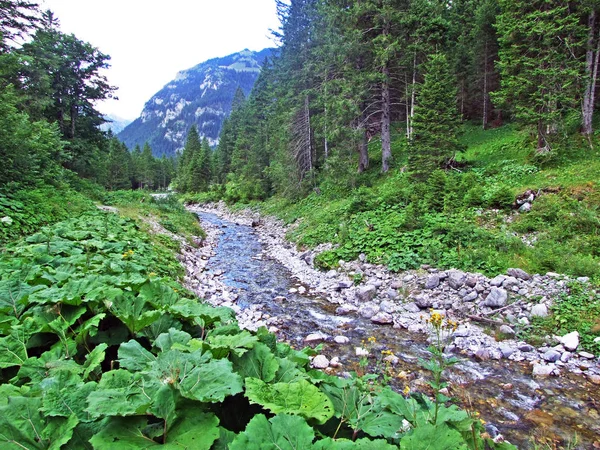 Valunerbach Oder Valuenerbach Saminatal Und Den Liechtensteinischen Alpen Steg Liechtenstein — Stockfoto