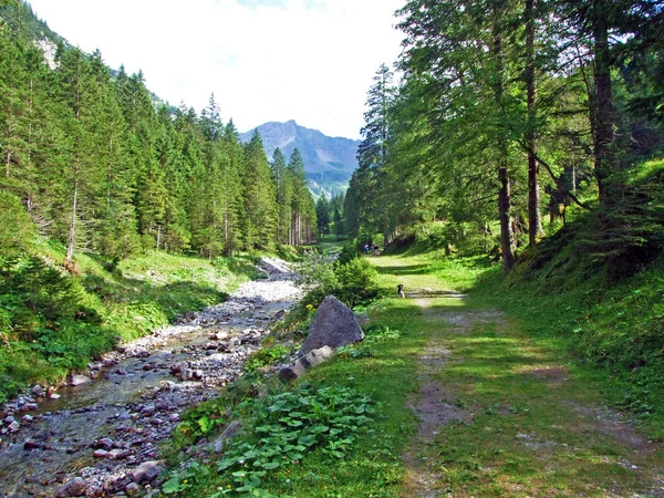 Arroyo Valunerbach Valuenerbach Valle Del Saminatal Los Alpes Liechtenstein Steg — Foto de Stock