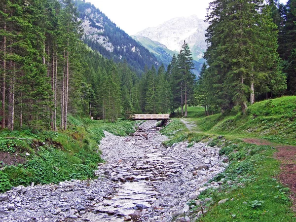 Strumień Valunerbach Lub Valuenerbach Dolinie Saminatal Oraz Alpach Liechtenstein Steg — Zdjęcie stockowe