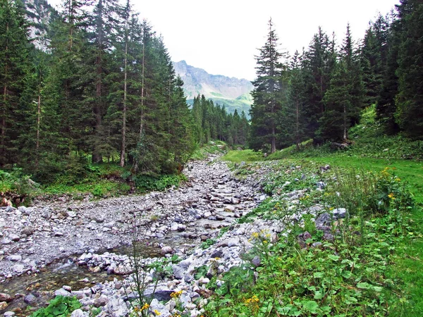 Ruisseau Valunerbach Valuenerbach Dans Vallée Saminatal Dans Les Alpes Liechtenstein — Photo