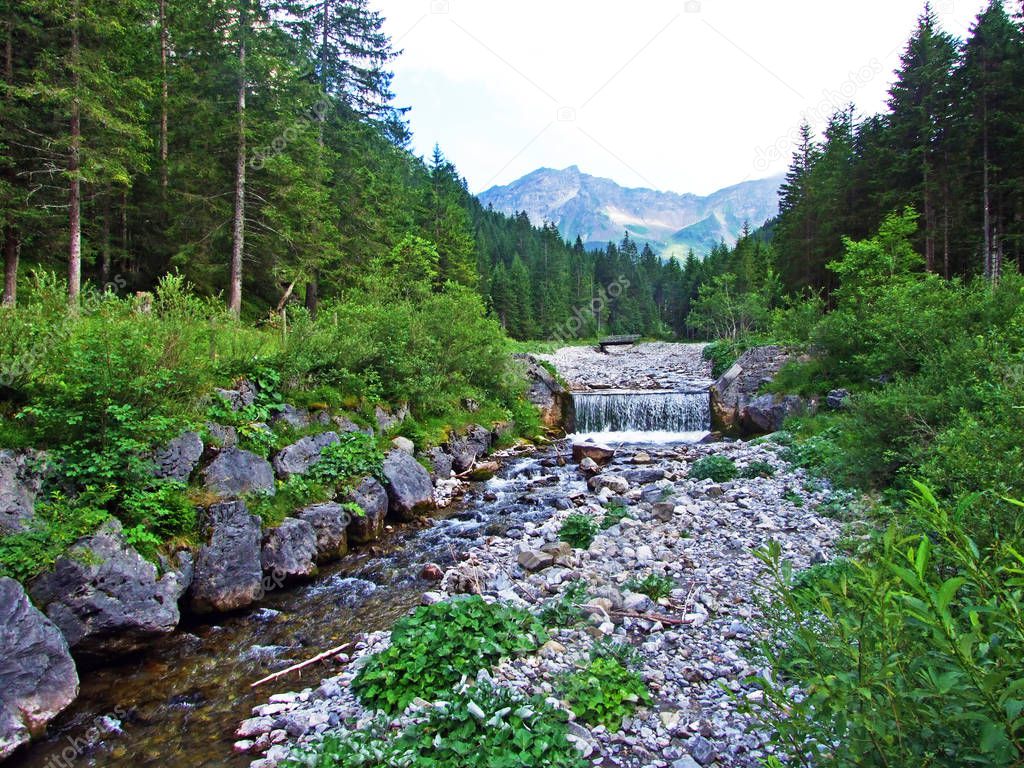 Valunerbach or Valuenerbach stream in the Saminatal valley and in the Liechtenstein Alps - Steg, Liechtenstein