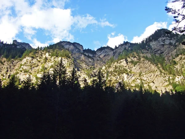 Steile Klippen Über Dem Saminatal Und Den Liechtensteinischen Alpen Steg — Stockfoto