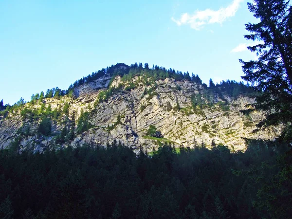 Falaises Escarpées Sur Vallée Saminatal Dans Les Alpes Liechtenstein Steg — Photo