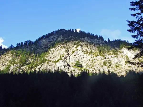 Steile Klippen Über Dem Saminatal Und Den Liechtensteinischen Alpen Steg — Stockfoto