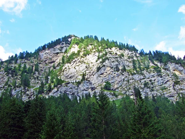 Falaises Escarpées Sur Vallée Saminatal Dans Les Alpes Liechtenstein Steg — Photo