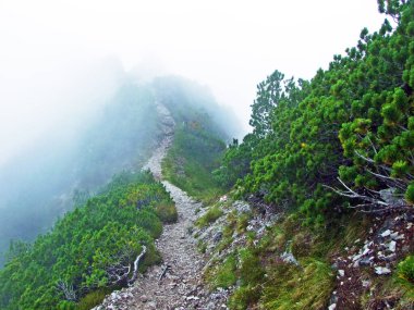 Ren Nehri Vadisi 'nde (Rheintal) ve Gipsberg Dağı' nda (Lihtenştayn Alpleri) yürüyüş ve yürüyüş patikaları