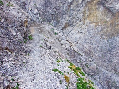 Ren Nehri Vadisi 'nde (Rheintal) ve Gipsberg Dağı' nda (Lihtenştayn Alpleri) yürüyüş ve yürüyüş patikaları