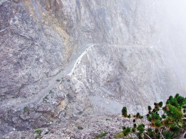 Ren Nehri Vadisi 'nde (Rheintal) ve Gipsberg Dağı' nda (Lihtenştayn Alpleri) yürüyüş ve yürüyüş patikaları