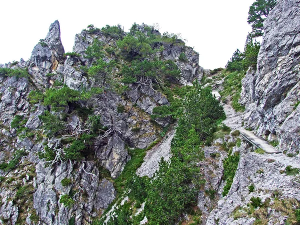 Turistické Turistické Stezky Údolí Řeky Rýn Rheintal Pohoří Gipsberg Lichtenštejnské — Stock fotografie