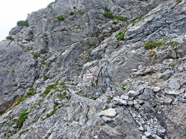 Séta Túraútvonalak Rajna Folyó Völgyében Rheintal Gipsberg Hegyen Liechtenstein Alpok — Stock Fotó