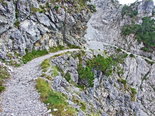 Gång Och Vandringsleder Rhendalen Rheintal Och Berget Gipsberg Liechtenstein Alperna — Stockfoto