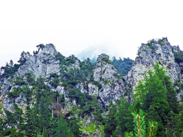 Steep cliffs over the Rhine river valley (Rheintal) and in the Liechtenstein Alps - Schaan, Liechtenstein