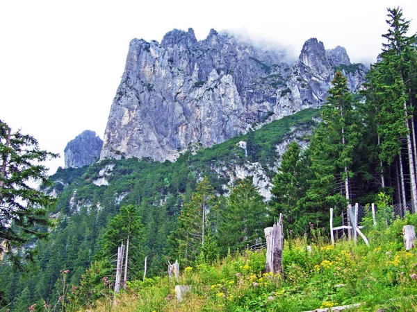 ライン川渓谷 ラインタル とリヒテンシュタインアルプスの急な崖 シャーン リヒテンシュタイン — ストック写真