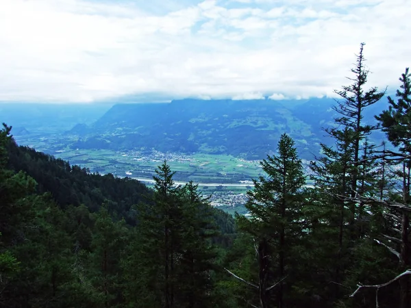 Pohled Úrodná Zemědělská Pole Lichtenštejnska Švýcarska Údolí Řeky Rýn Rheintal — Stock fotografie