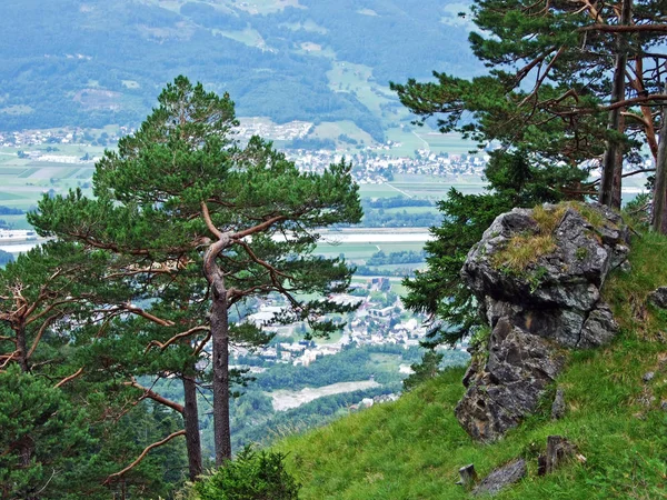 Utsikt Över Liechtensteins Och Schweiz Bördiga Jordbruksfält Rhendalen Rheintal Schaan — Stockfoto