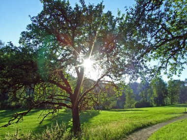 St. Gallen, İsviçre 'de bulunan St. Gallen Kantonu' ndaki Sitter Nehri boyunca yürüyüş ve bisiklet yolları.