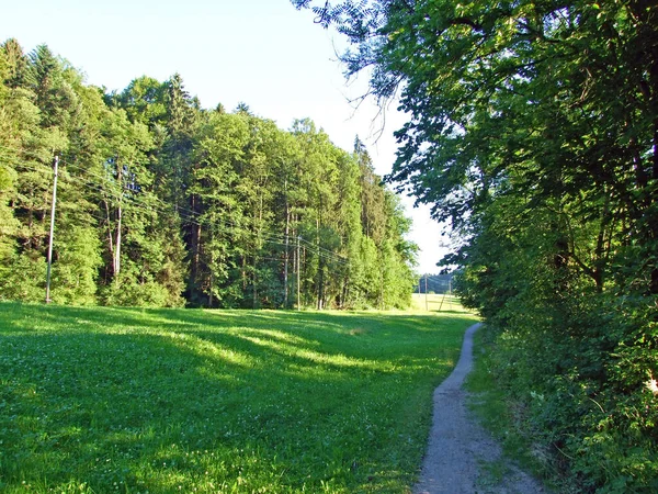 Wandel Fietsroutes Langs Rivier Sitter Stad Gallen Kanton Gallen Zwitserland — Stockfoto