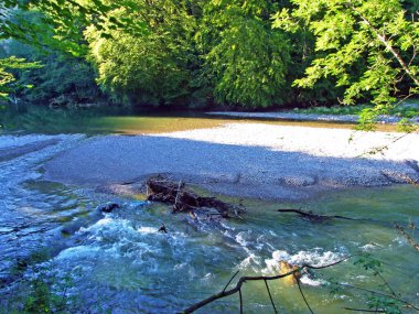 St. Gallen şehrindeki Sitter Nehri 'nin ovaları, İsviçre' nin St. Gallen Kantonu.