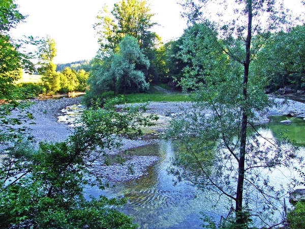 Lowland Stream Sitter River City Gallen Canton Gallen Switzerland — Stock Photo, Image