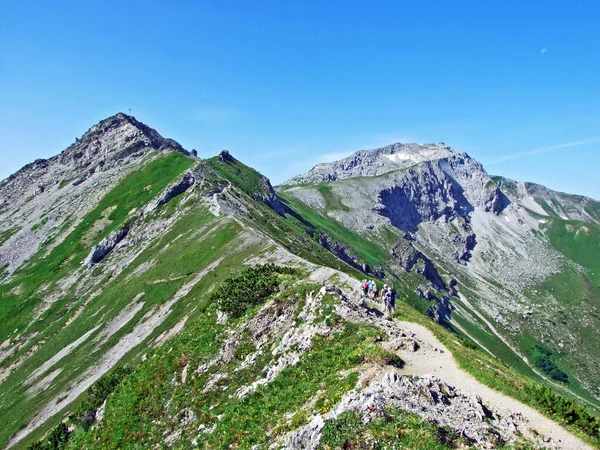 Αλπικές Βουνοκορφές Spitz Και Augstenberg Πάνω Από Την Αλπική Κοιλάδα — Φωτογραφία Αρχείου