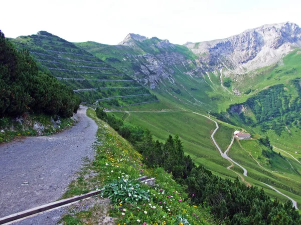Malbuntal Alp Vadisi Nde Lihtenştayn Alp Dağları Nda Malbun Lihtenştayn — Stok fotoğraf