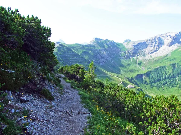 Gång Och Vandringsleder Över Malbuntaldalen Och Bergskedjan Liechtenstein Alperna Malbun — Stockfoto