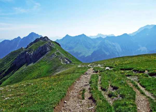 Séta Túraútvonalak Malbuntal Alpesi Völgyben Liechtensteini Alpokban Malbun Liechtenstein — Stock Fotó