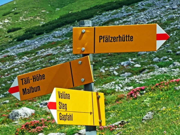 Wandel Wandelpaden Het Malbuntal Liechtenstein Alpen Malbun Liechtenstein — Stockfoto