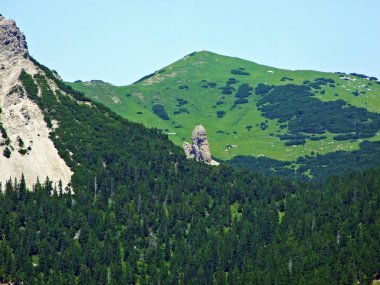 Karışık ormanlar ve seyreltilmiş ağaçlar Lihtenştayn Alp Dağları yamaçlarında ve Malbuntal Alp Vadisi 'nde Malbun, Lihtenştayn