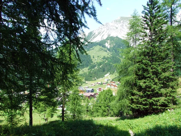 Gemengde Bossen Uitgedunde Bomen Hellingen Van Bergketen Liechtenstein Alpen Het — Stockfoto