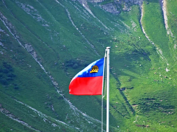 Lihtenştayn Ulusal Bayrağı Flagge Liechtensteins Veya Liechtenstein Prensliği Sivil Eyalet — Stok fotoğraf