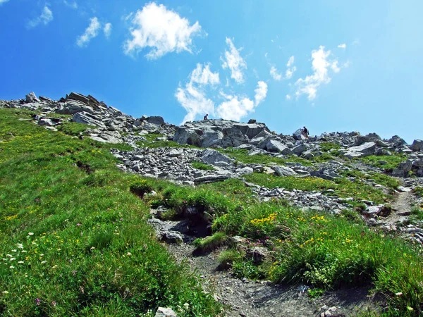 Felsen Und Steine Der Liechtensteinischen Alpen Und Über Dem Malbuntal — Stockfoto