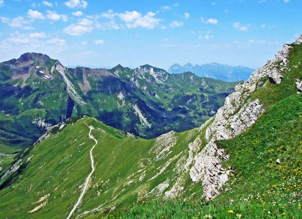 Almen Und Wiesen Malbuntal Und Den Liechtensteinischen Alpen Malbun Liechtenstein — Stockfoto