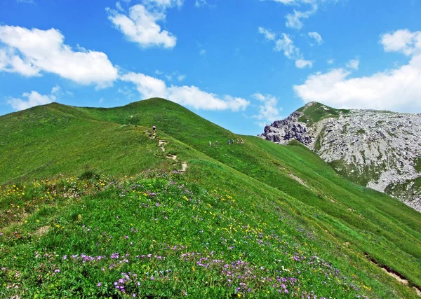 Alpine Pastures Meadows Malbuntal Valley Liechtenstein Alps Mountain Range Malbun — Φωτογραφία Αρχείου
