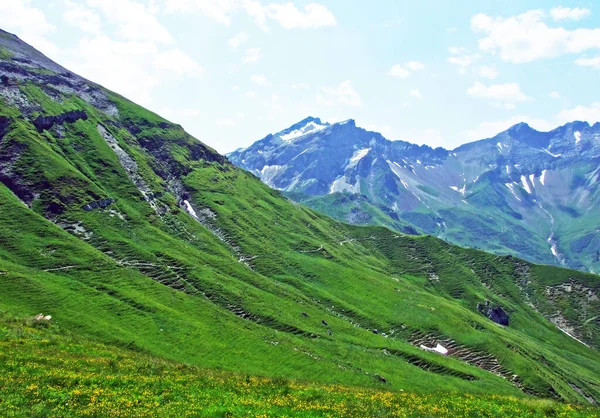 Almen Und Wiesen Malbuntal Und Den Liechtensteinischen Alpen Malbun Liechtenstein — Stockfoto