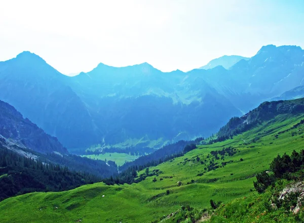 Vue Vallée Alpine Gamperdonatal Des Alpes Autrichiennes Depuis Sommet Spitz — Photo