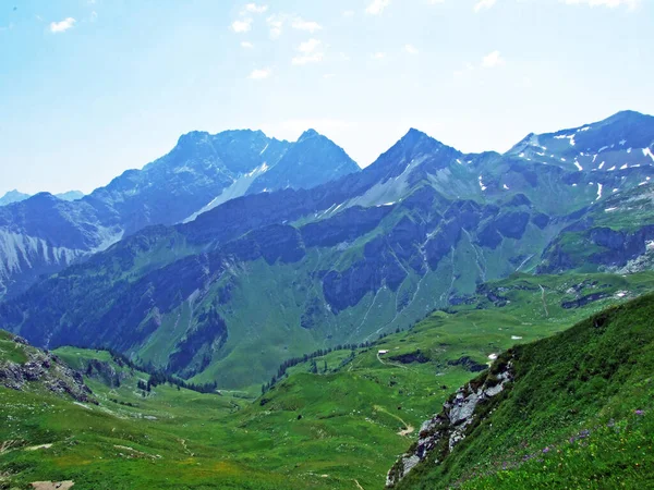 Vista Vale Alpino Gamperdonatal Dos Alpes Austríacos Pico Spitz Nos — Fotografia de Stock