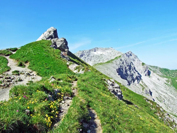 Alpesi Hegycsúcs Augstenberg Felett Malbuntal Alpesi Völgyben Liechtensteini Alpokban Hegység — Stock Fotó