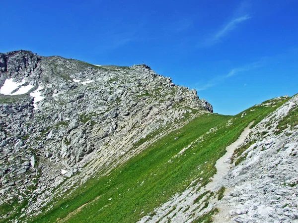 Alpský Vrchol Augstenberg Nad Alpským Údolím Malbuntal Lichtenštejnských Alpách Malbun — Stock fotografie